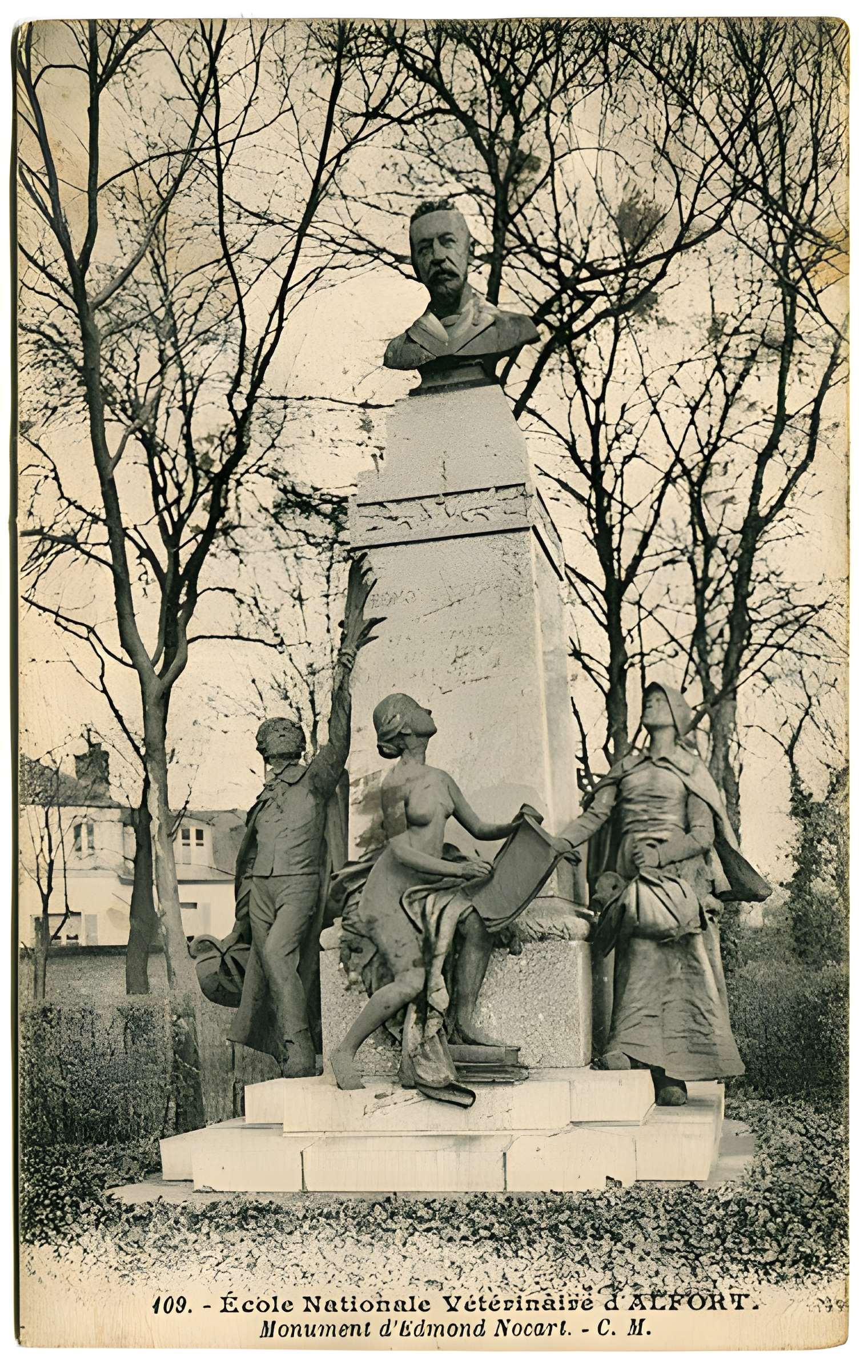 École nationale vétérinaire d'Alfort