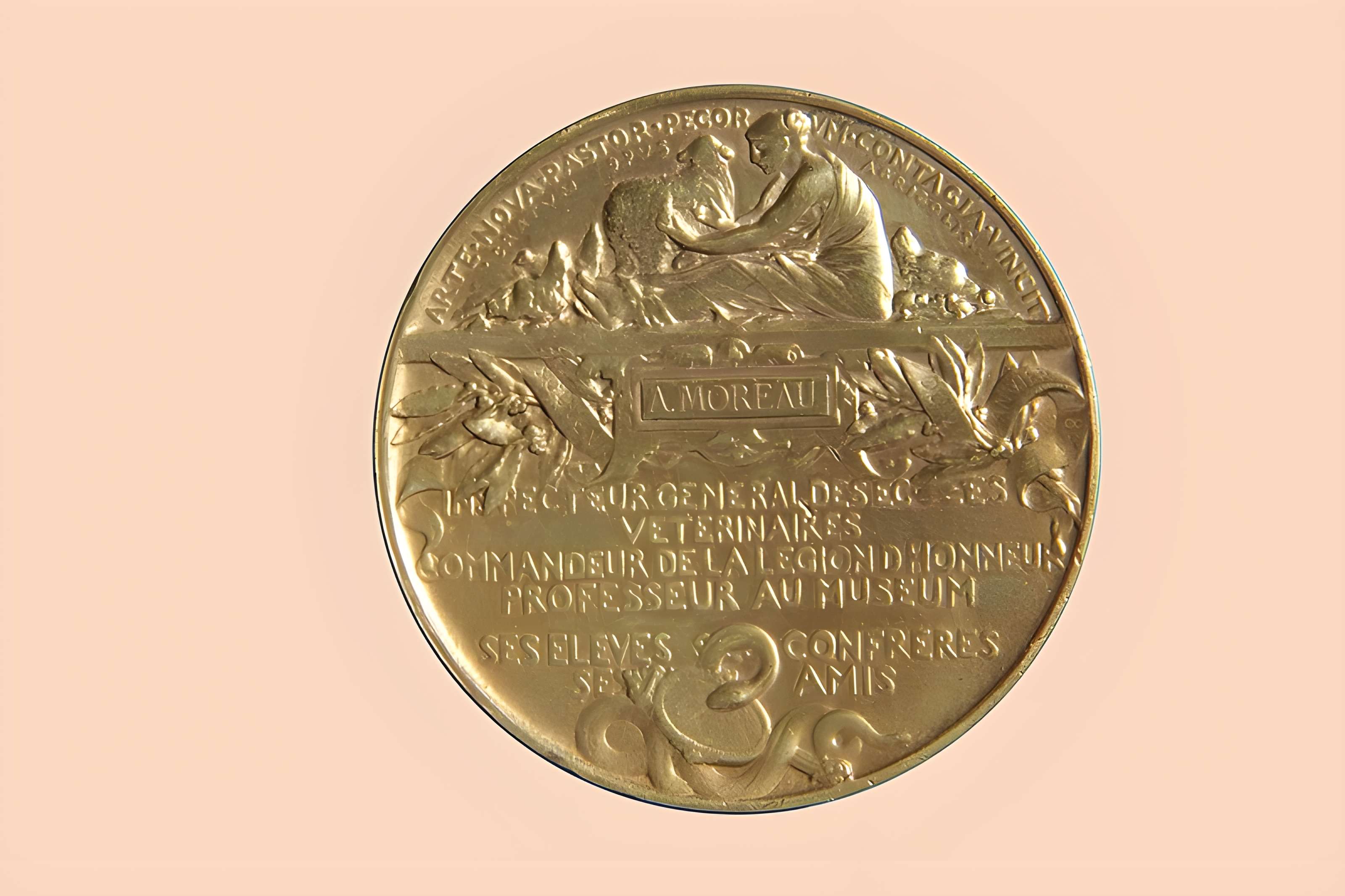 École nationale vétérinaire d'Alfort