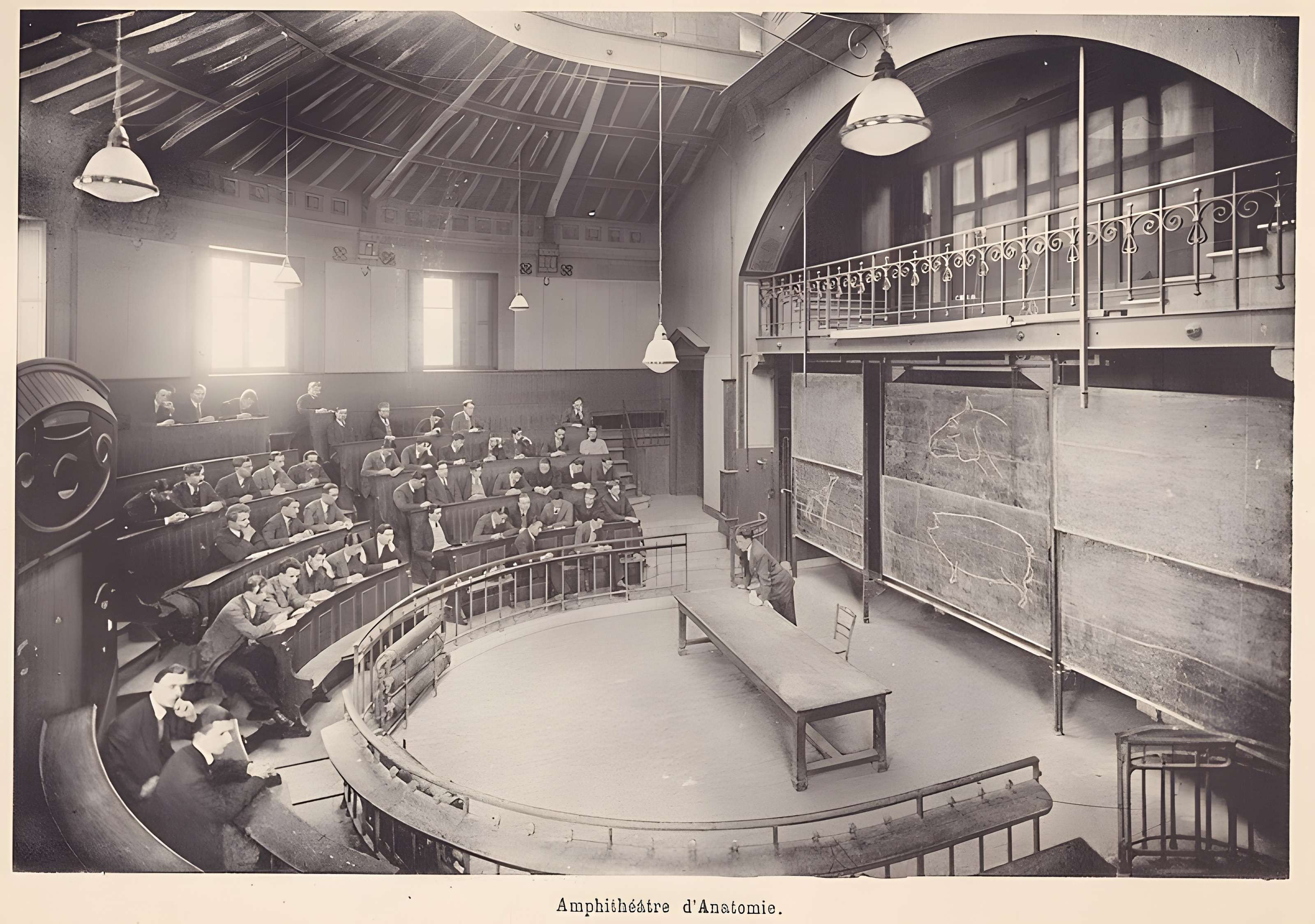 École nationale vétérinaire d'Alfort