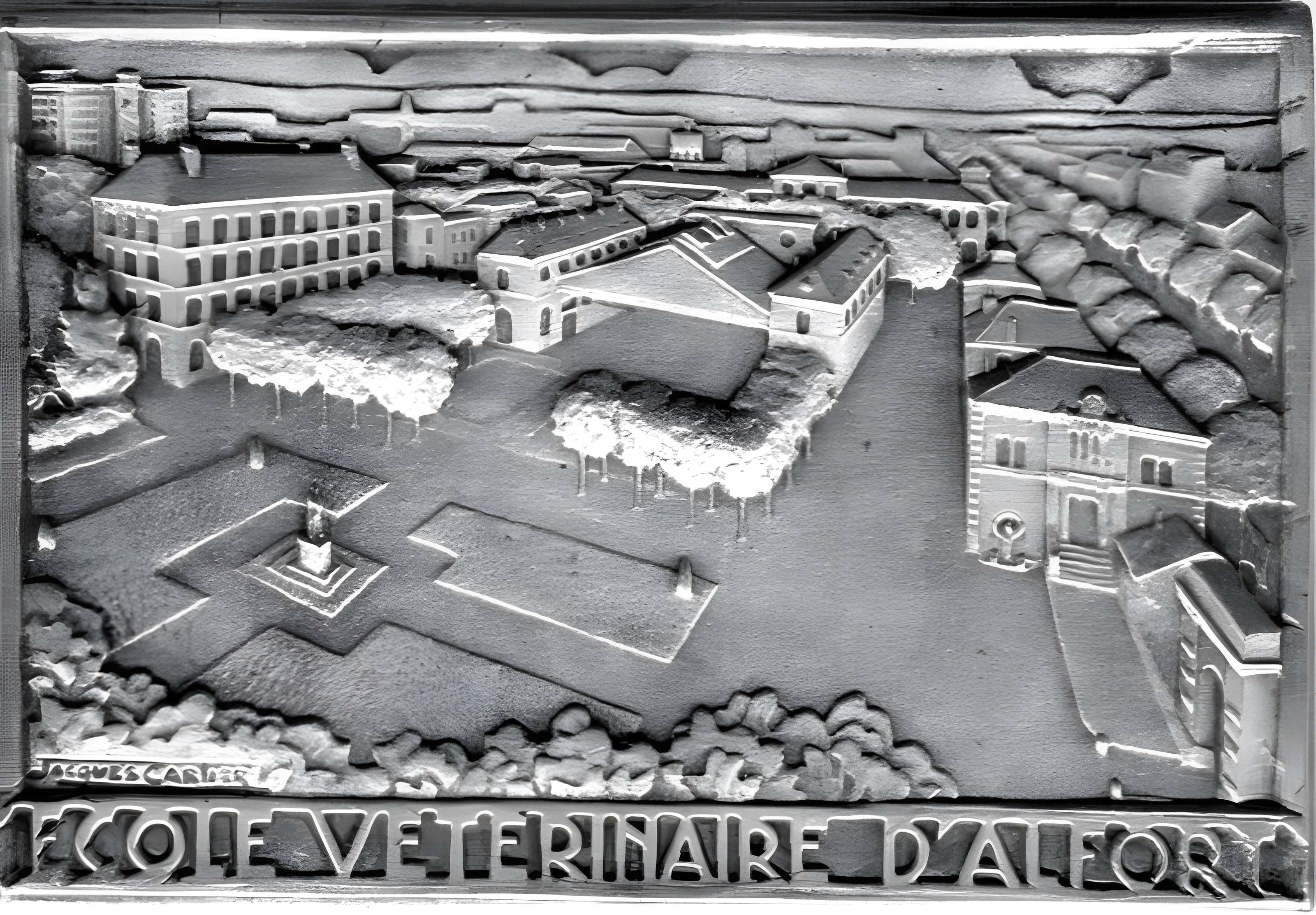École nationale vétérinaire d'Alfort