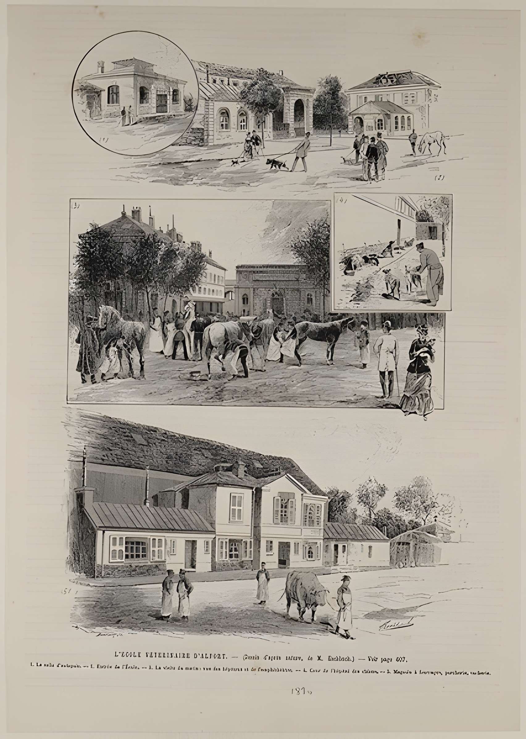 École nationale vétérinaire d'Alfort