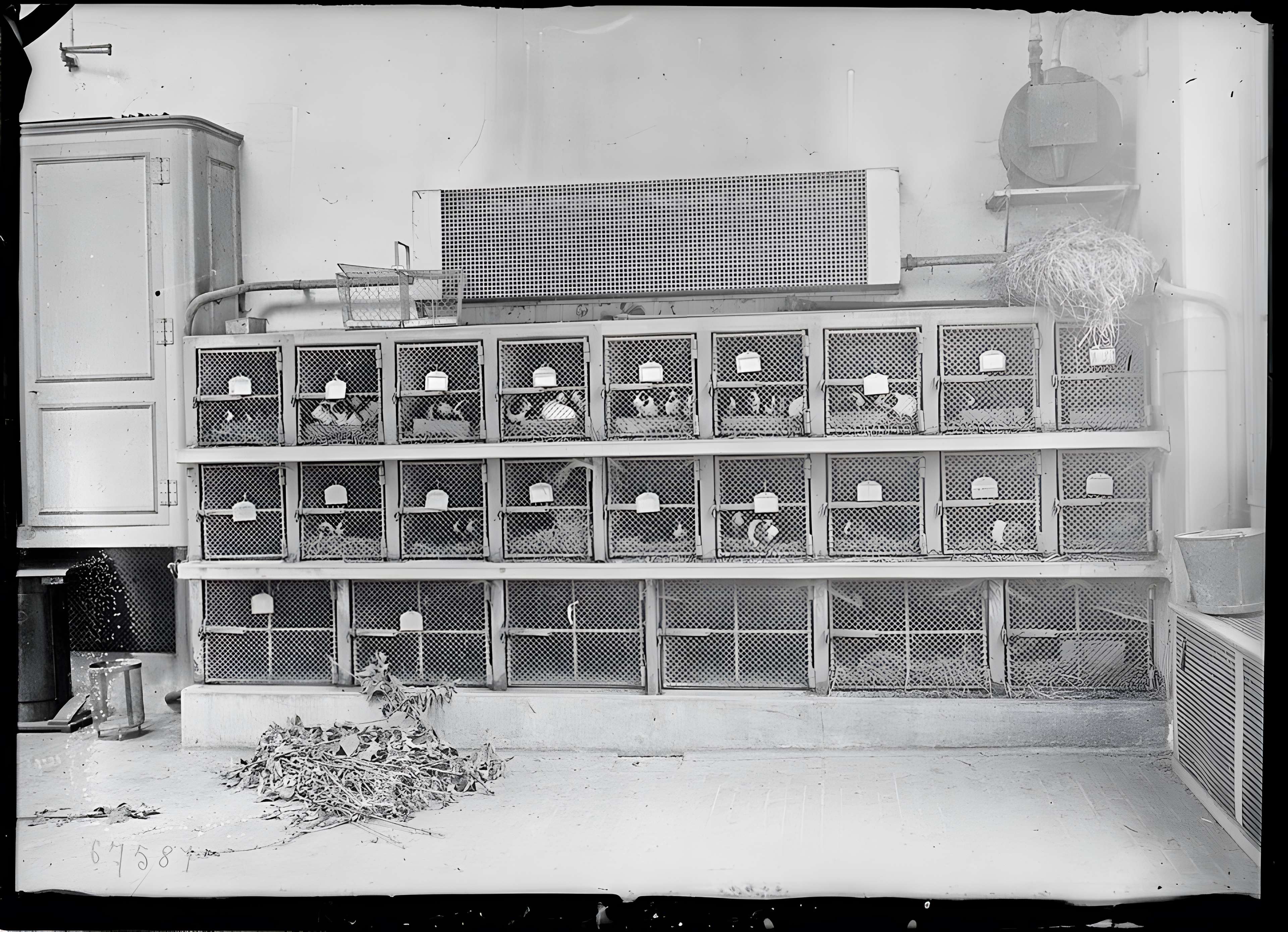 École nationale vétérinaire d'Alfort