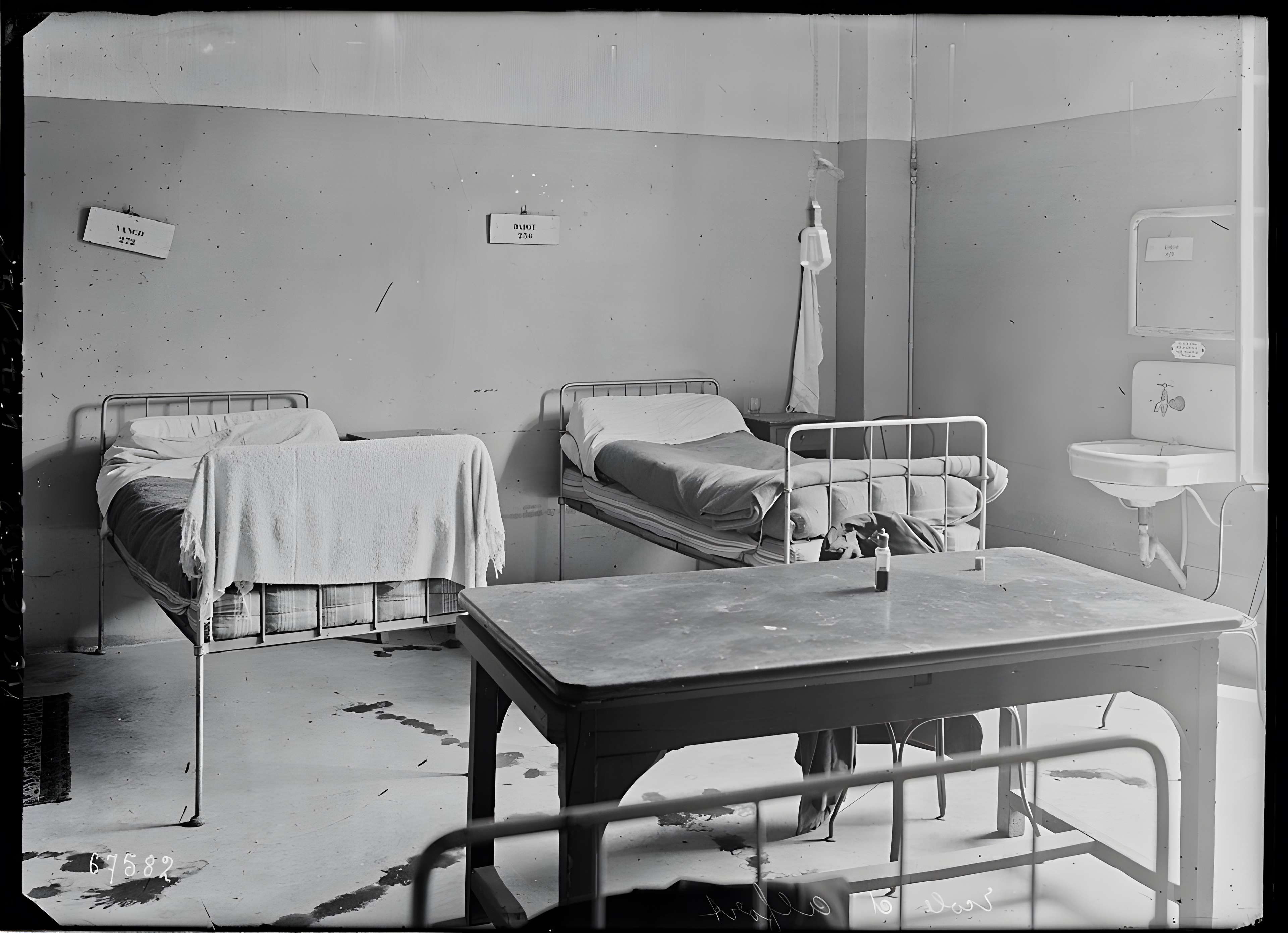 École nationale vétérinaire d'Alfort