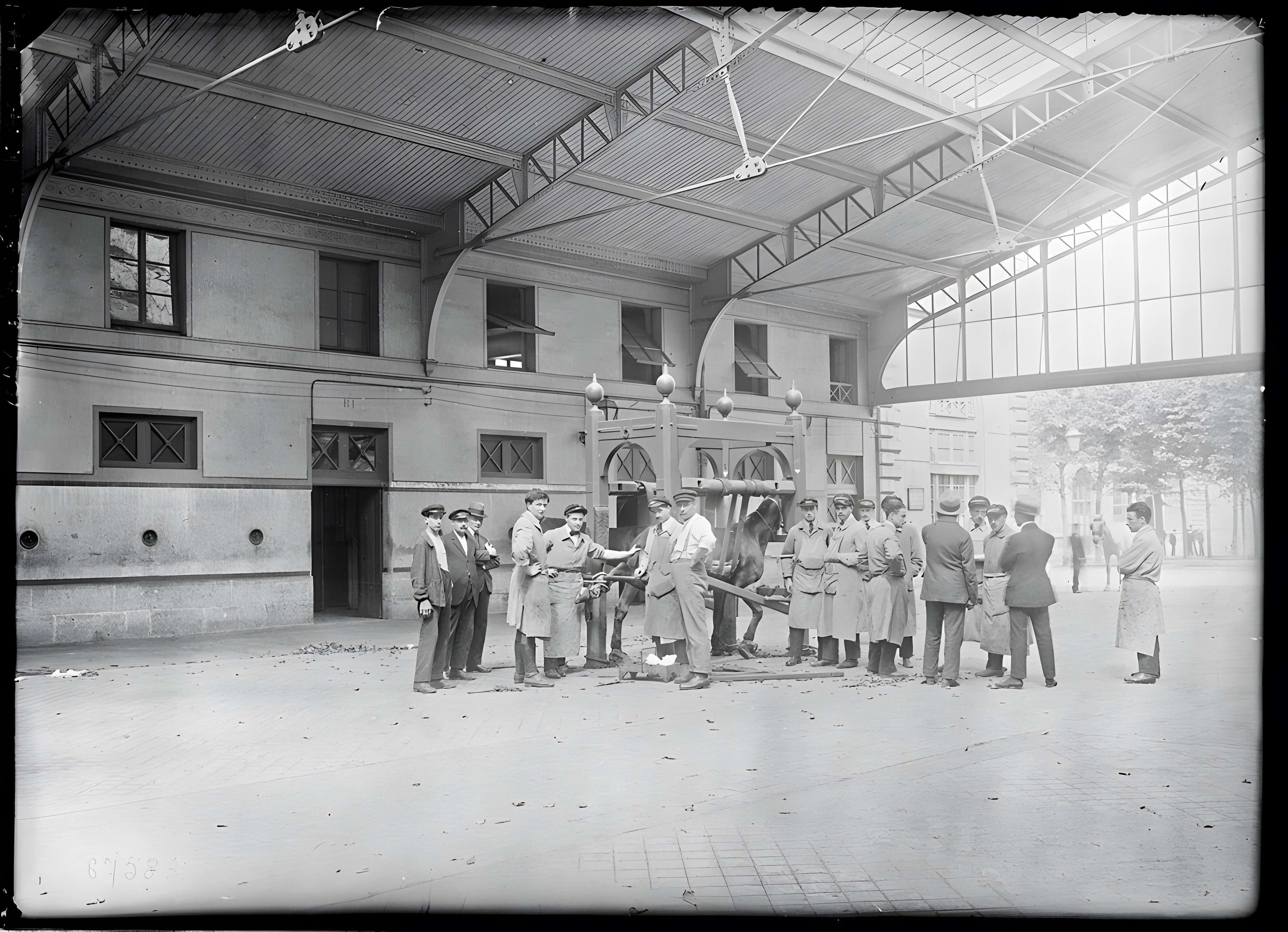 École nationale vétérinaire d'Alfort