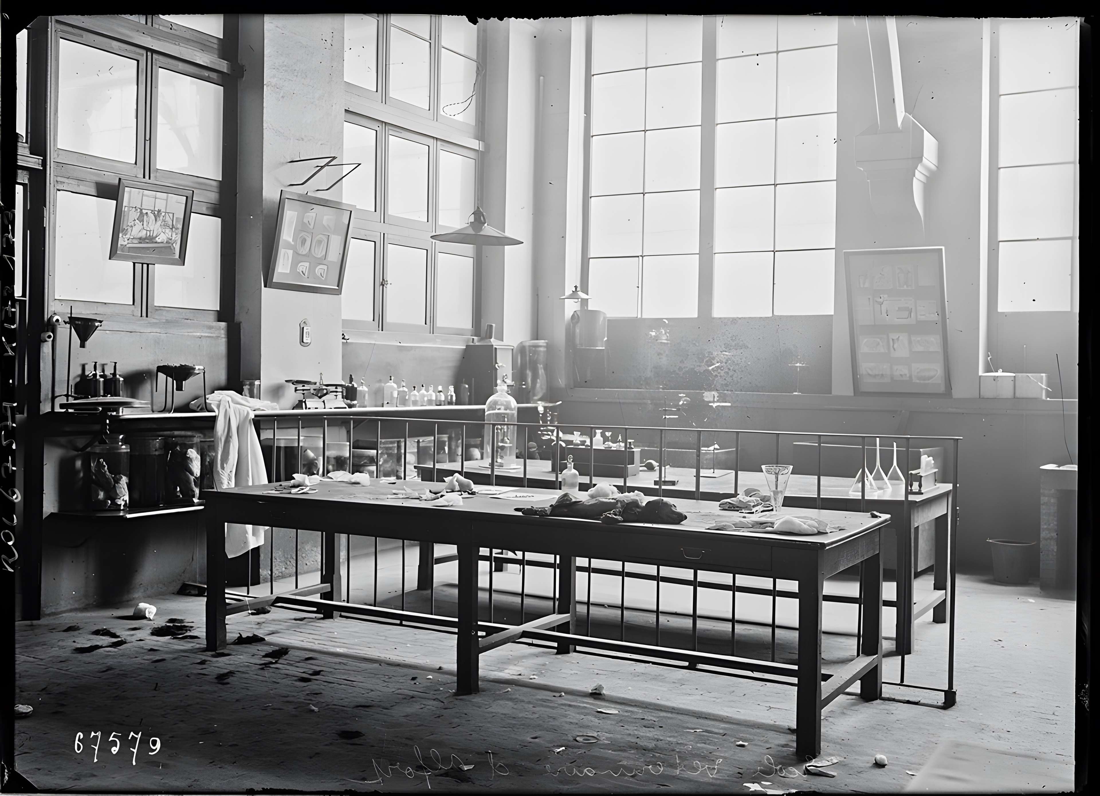 École nationale vétérinaire d'Alfort