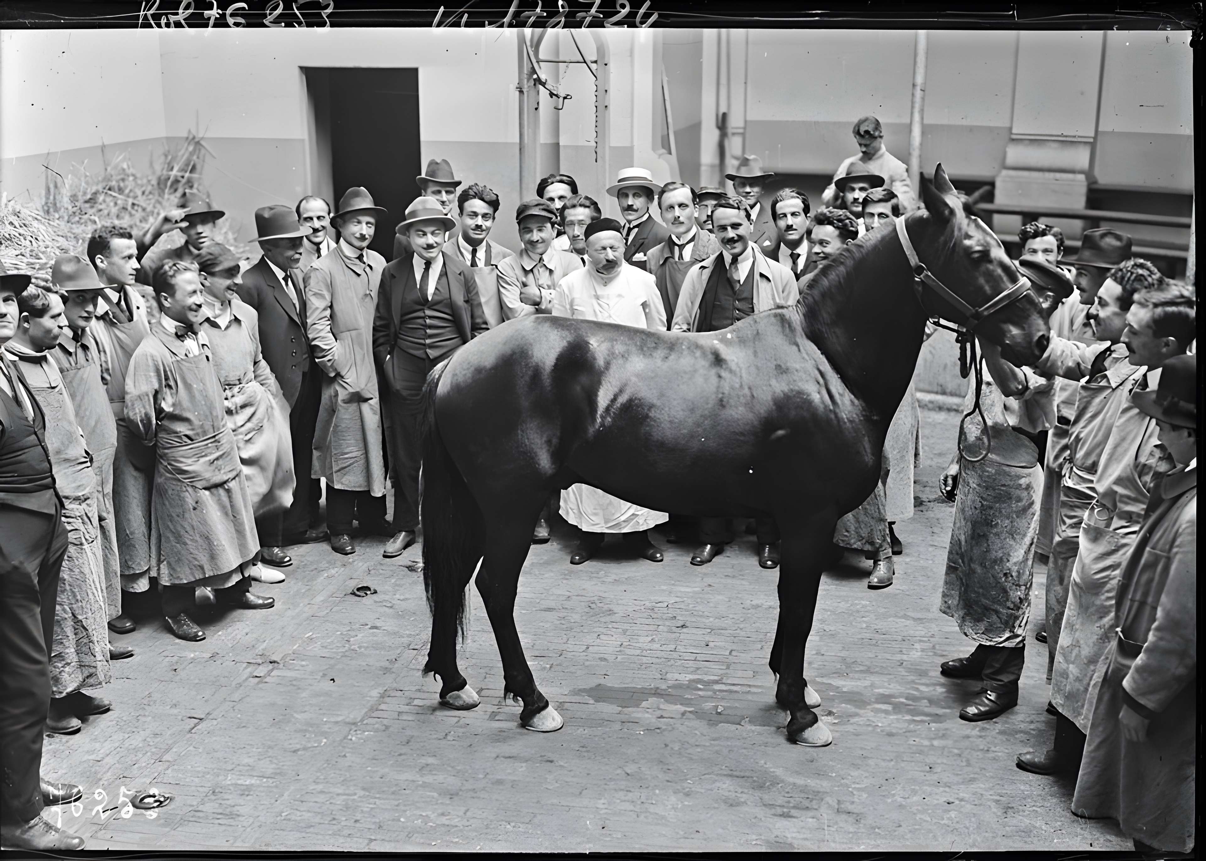 École nationale vétérinaire d'Alfort