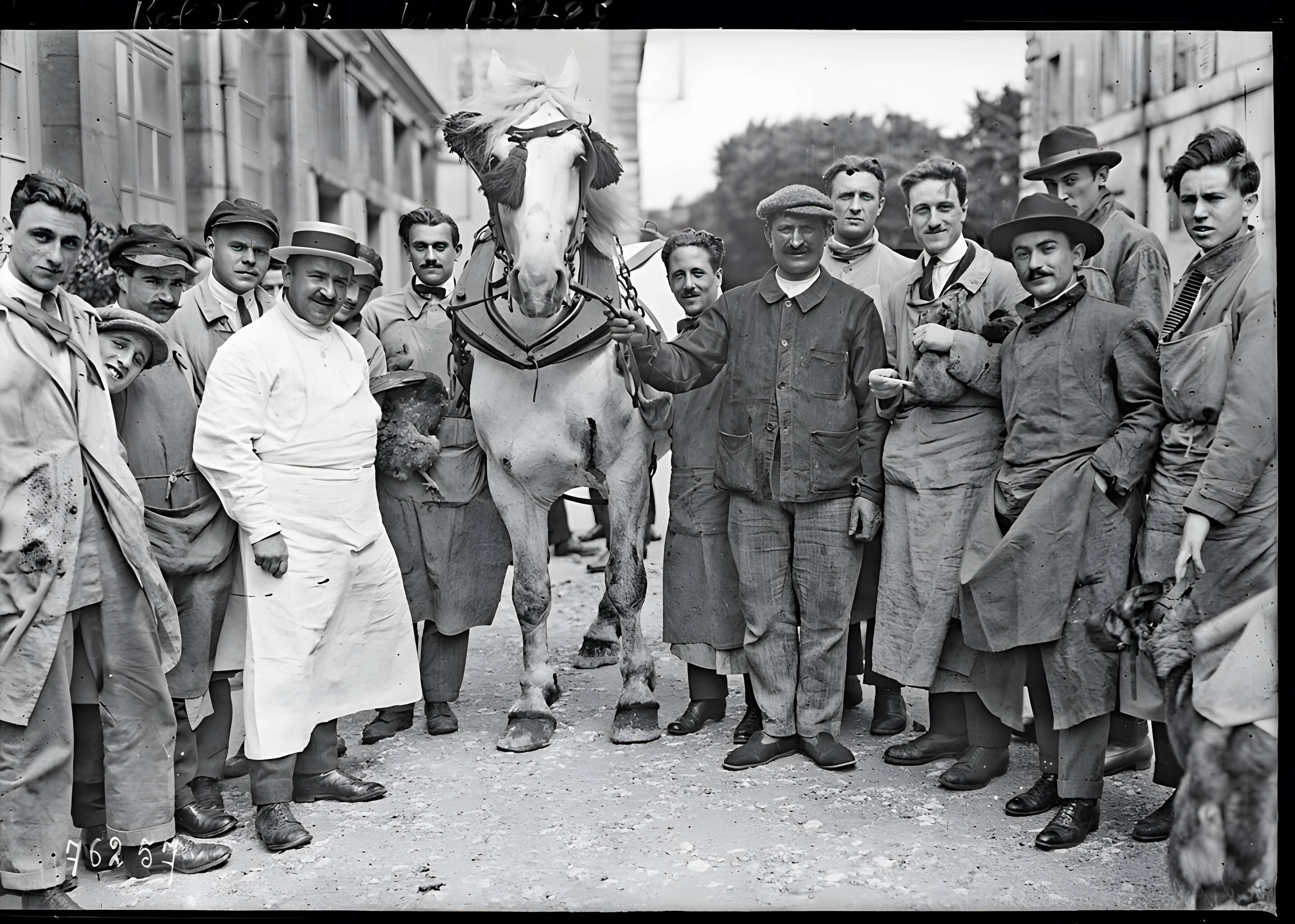 École nationale vétérinaire d'Alfort