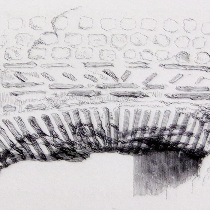 Photo de Édifice gallo-romain de Vernou-sur-Brenne