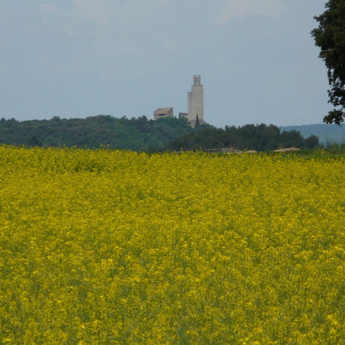 Photo de Église de Chantemerle-les-Blés