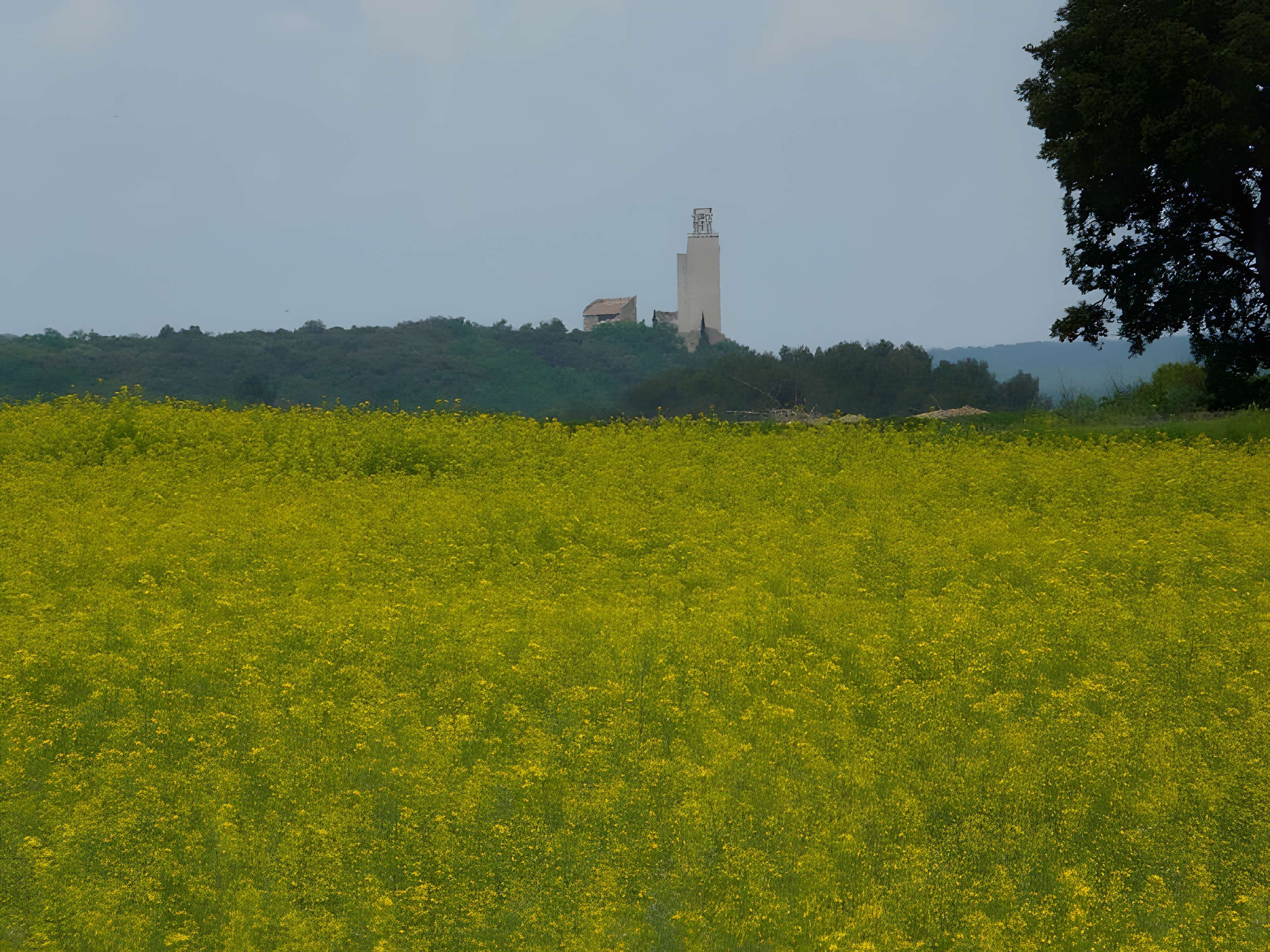 Église de Chantemerle-les-Blés 