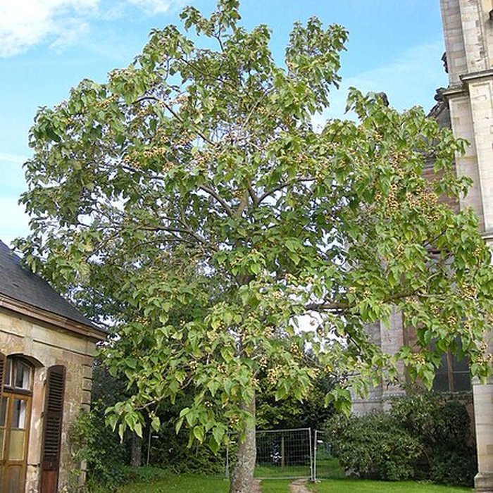 Photo de Abbaye Notre-Dame dAutrey