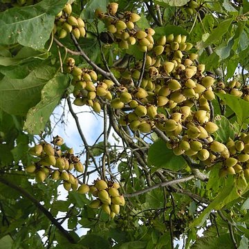 Abbaye Notre-Dame dAutrey