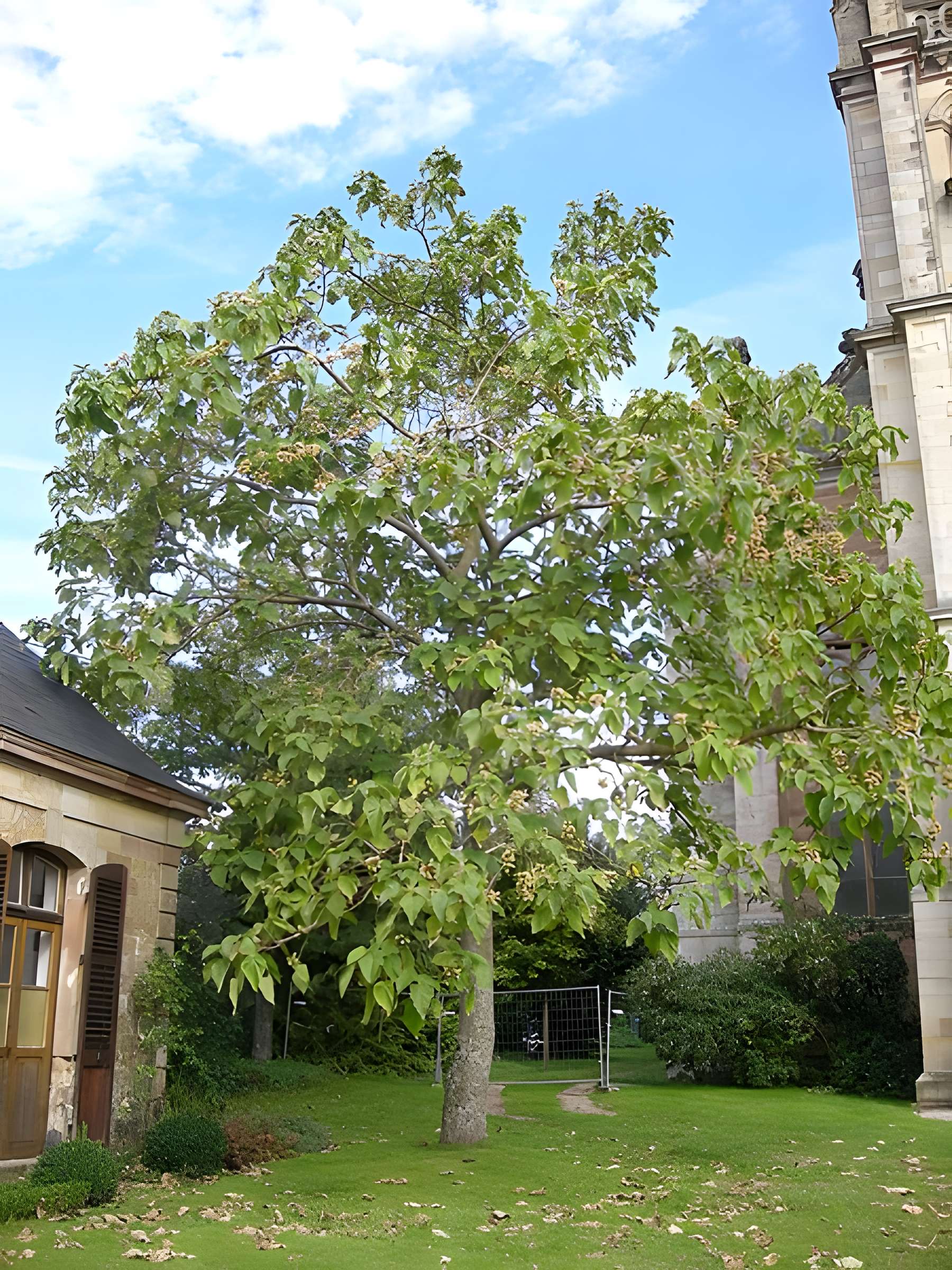 Abbaye Notre-Dame d'Autrey
