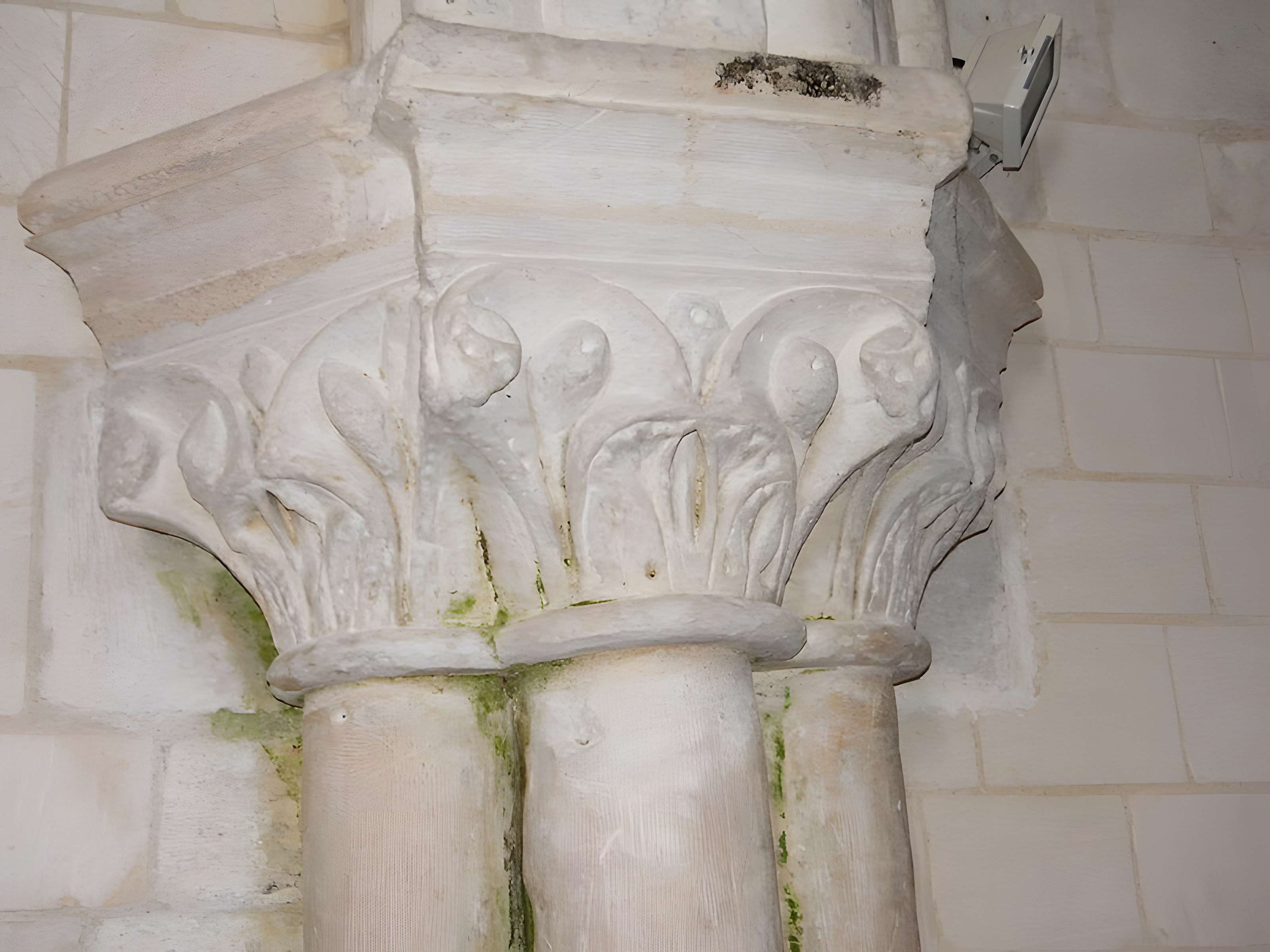 Église de la Nativité-de-la-Vierge de Forest-l'Abbaye