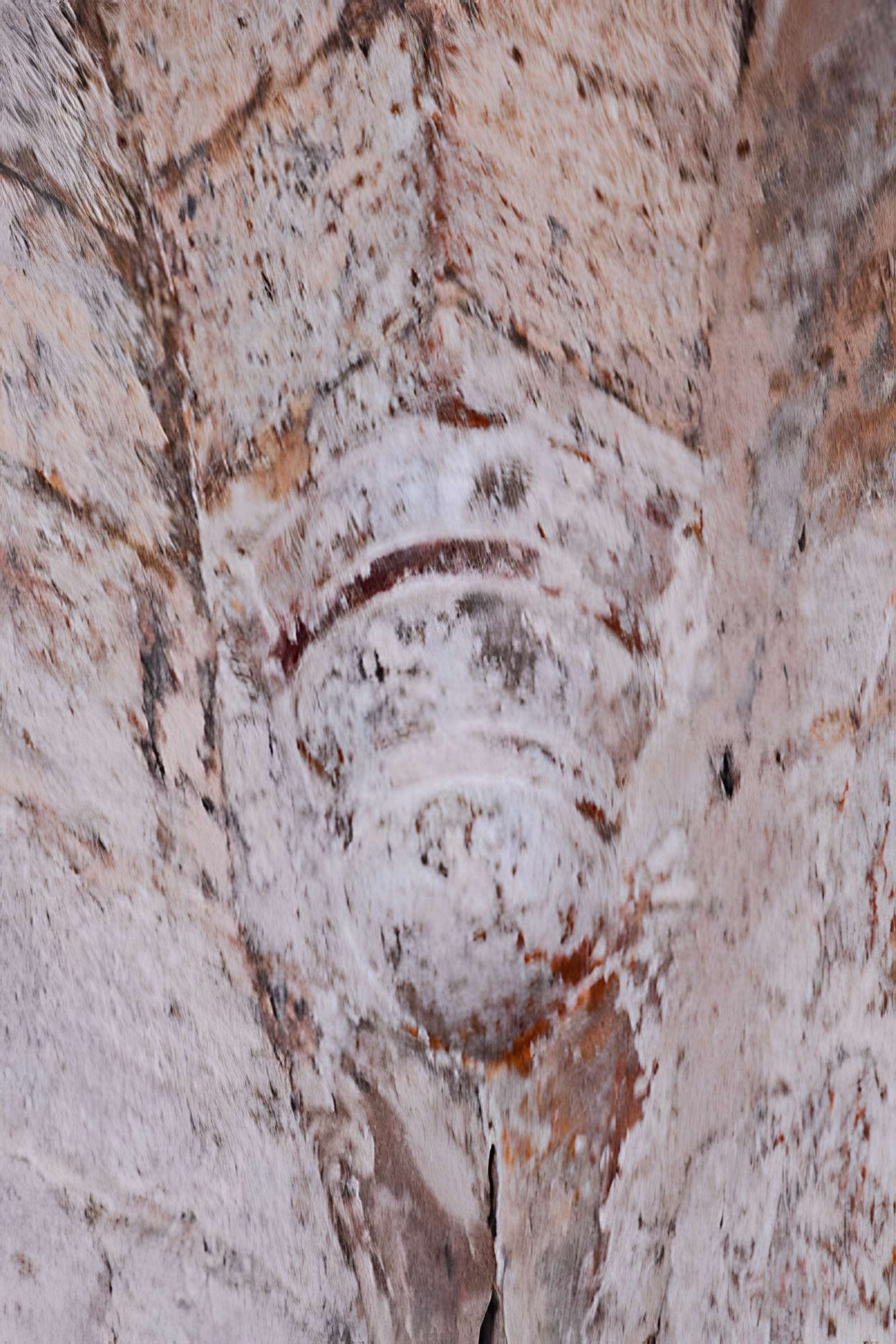 Église de la Sainte-Trinité de Saint-Trinit