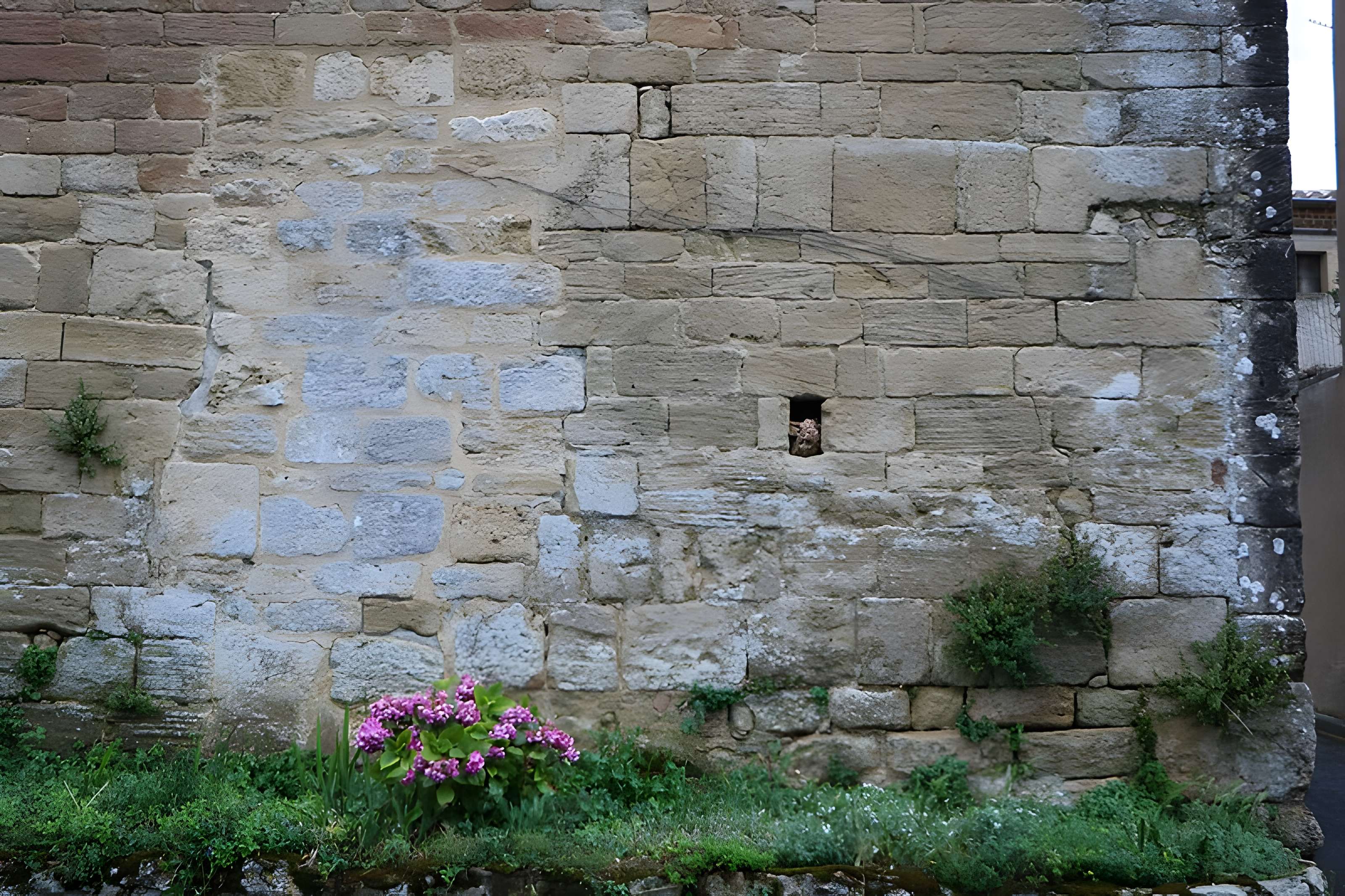 Église de l'Assomption de Notre-Dame de Baraigne