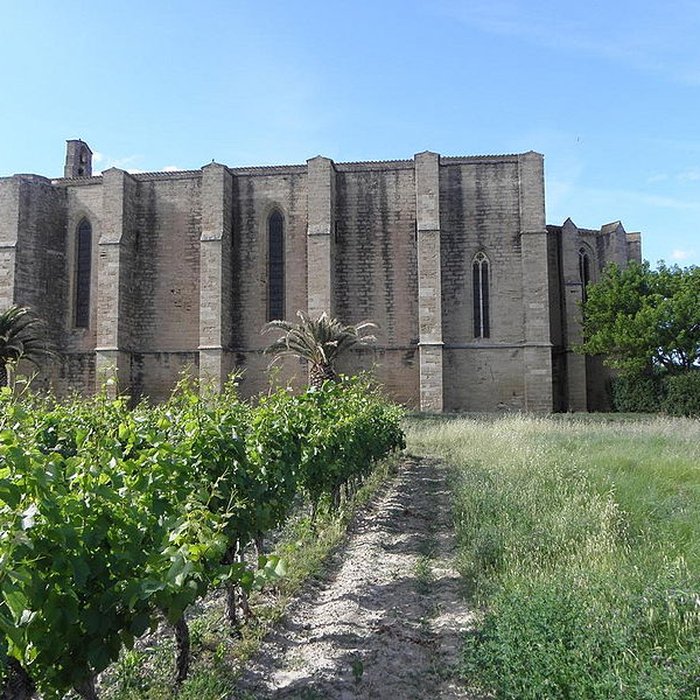 Photo de Église Sainte-Cécile de Loupian