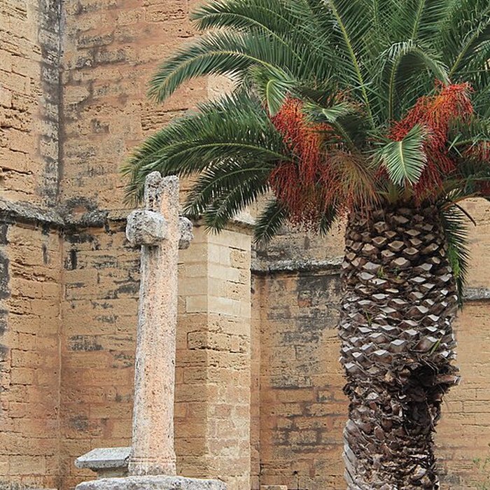 Photo de Église Sainte-Cécile de Loupian