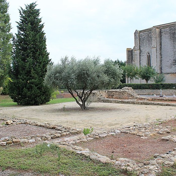 Photo de Église Sainte-Cécile de Loupian
