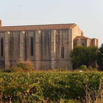 Église Sainte-Cécile de Loupian
