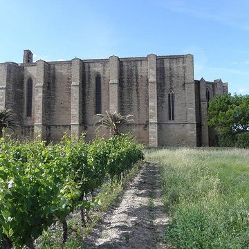 Église Sainte-Cécile de Loupian