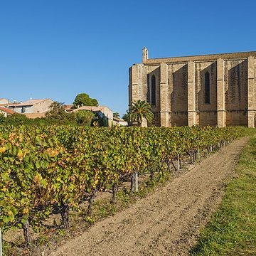 Église Sainte-Cécile de Loupian
