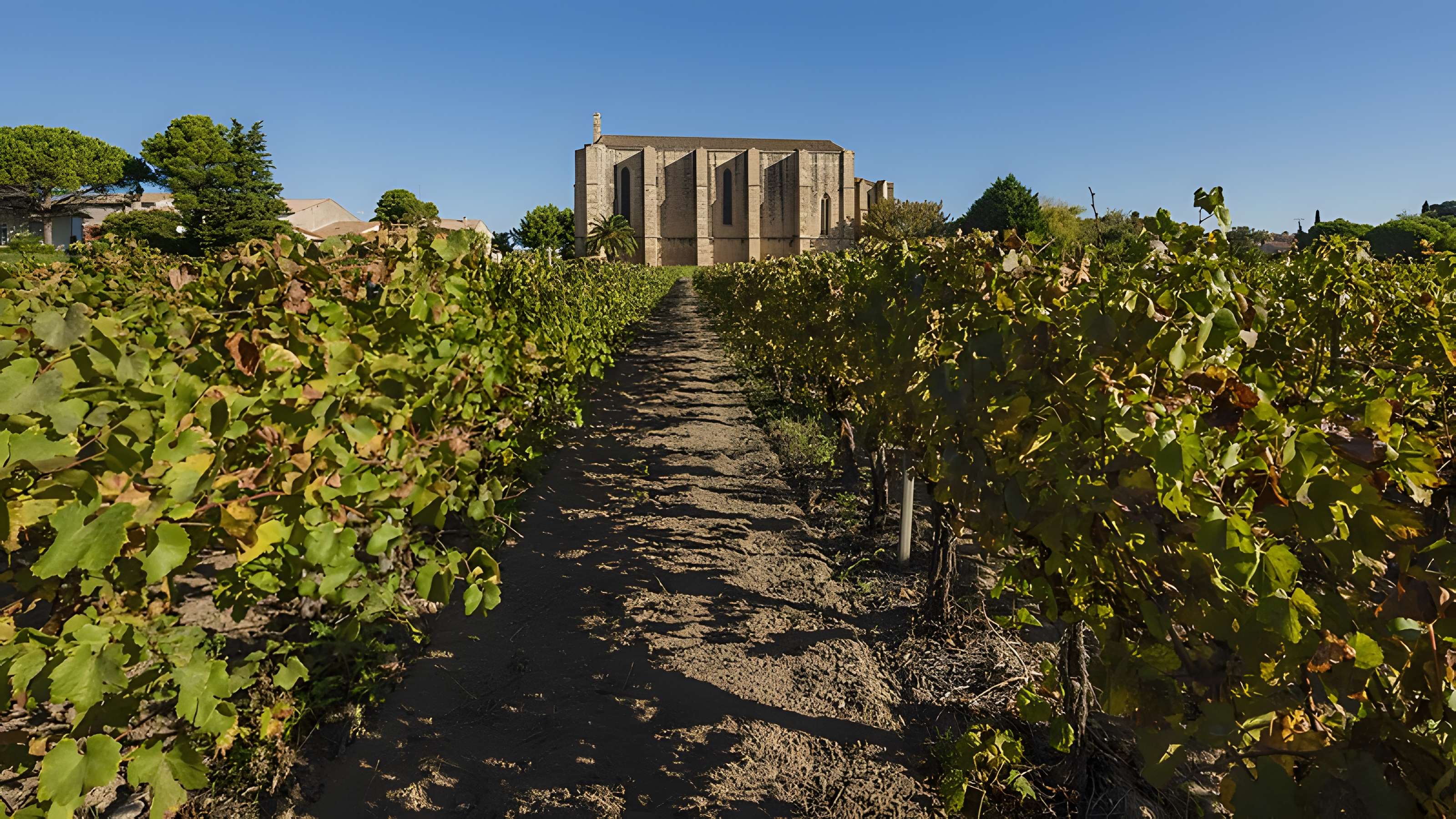Église Sainte-Cécile de Loupian