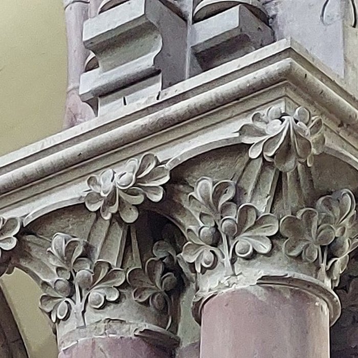 Photo de Église de lAssomption-de-la-Bienheureuse-Vierge-Marie de Phalsbourg