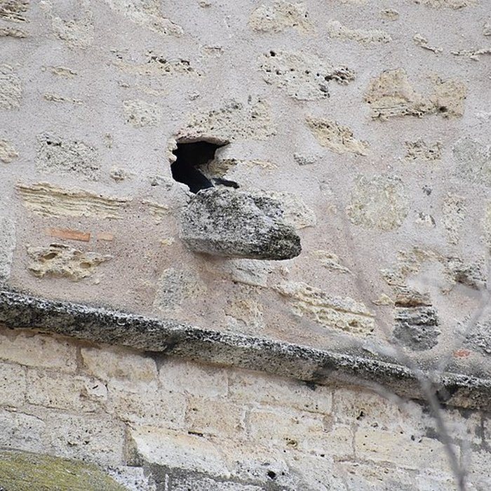 Photo de Église Sainte-Eulalie de Montblanc