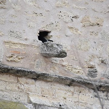 Église Sainte-Eulalie de Montblanc