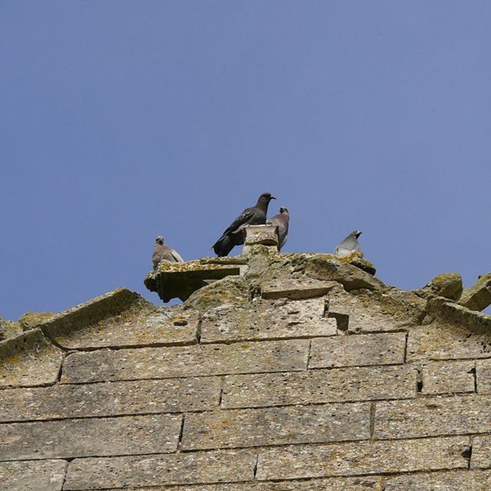 Photo de Église Sainte-Félicité de Montagny-Sainte-Félicité