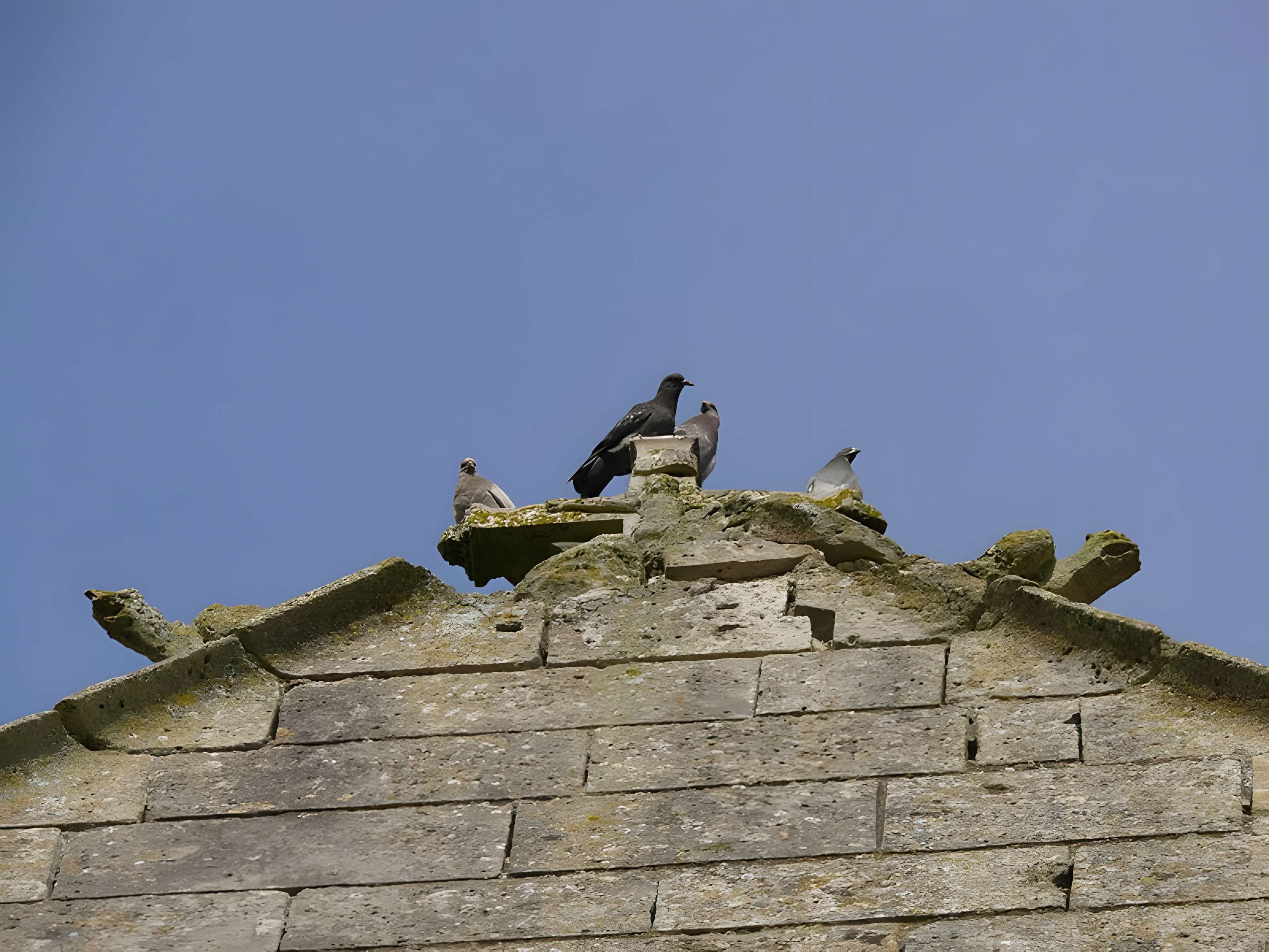 Église Sainte-Félicité de Montagny-Sainte-Félicité