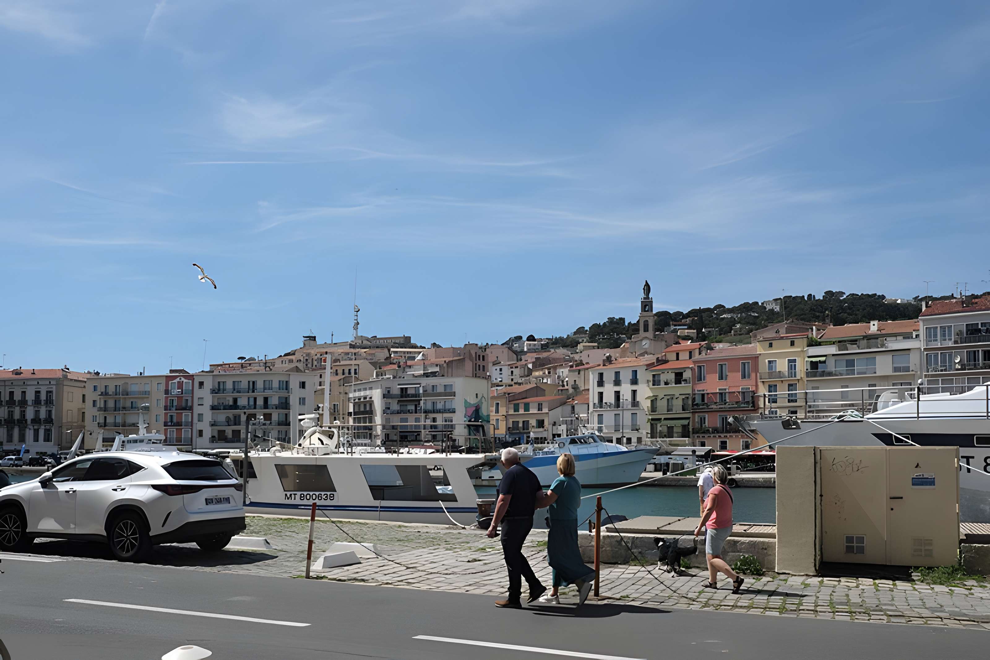 Église décanale Saint-Louis de Sète