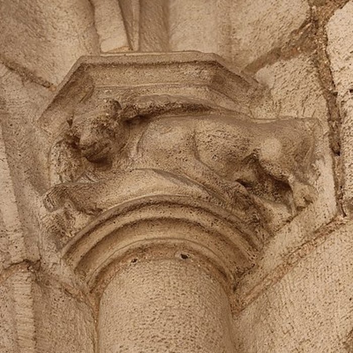 Photo de Église Notre-Dame dAuxonne