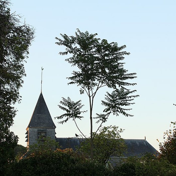 Photo de Église Notre-Dame de Châtillon-sur-Marne