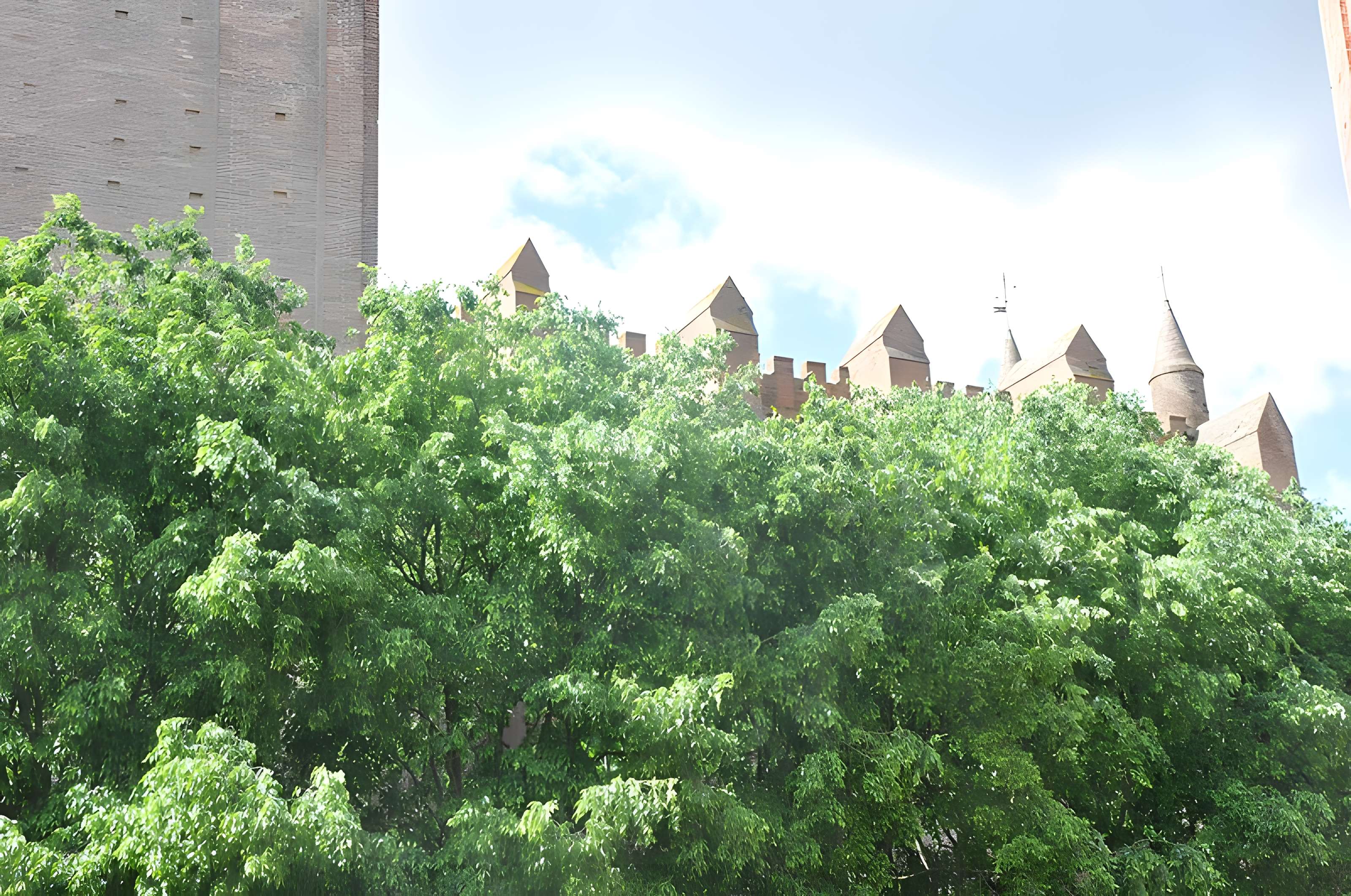 Église Notre-Dame de la Dalbade de Toulouse 