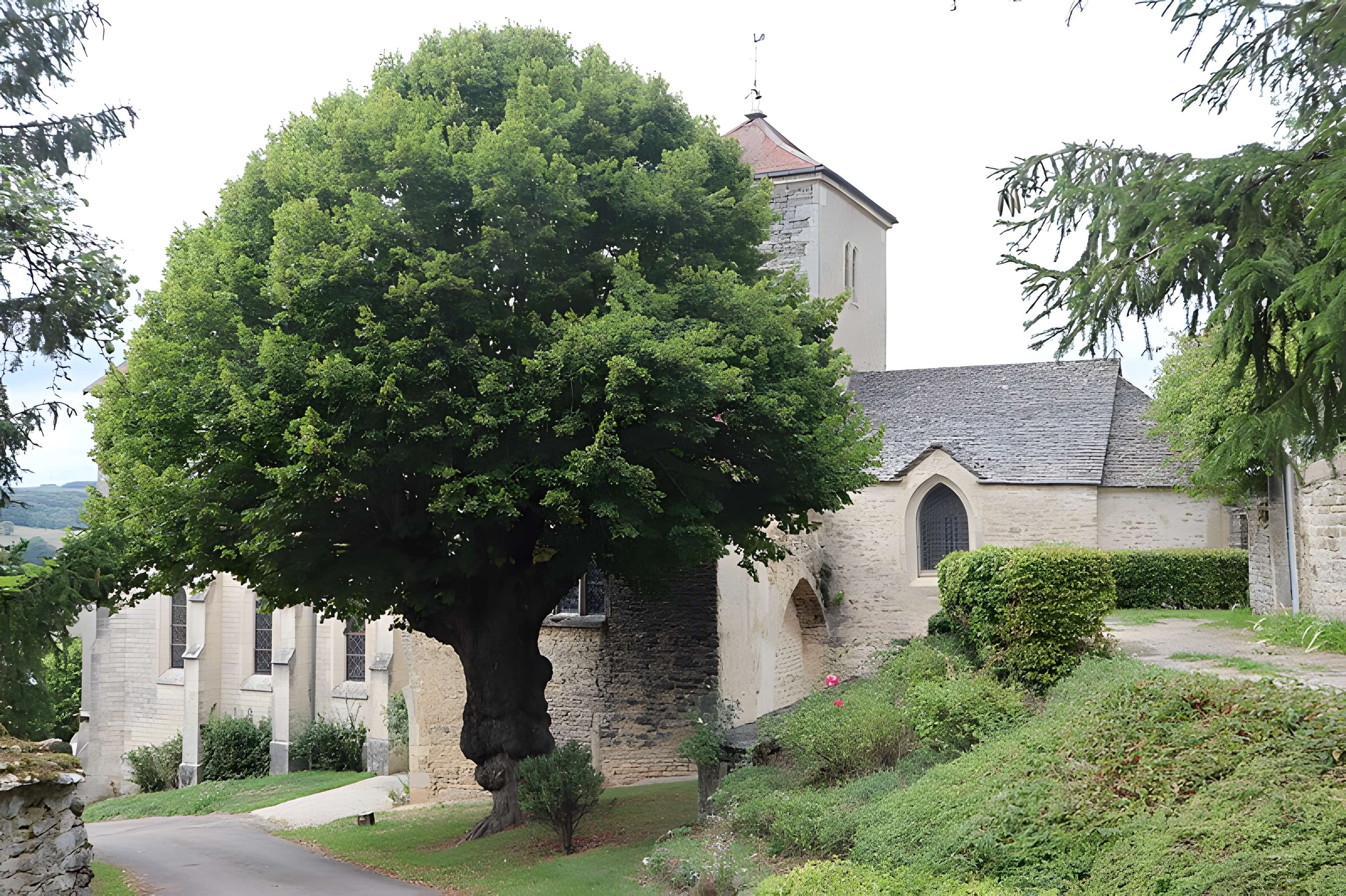 Église Notre-Dame de Salmaise