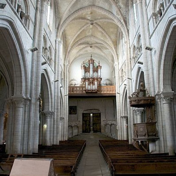 Photo de Église Notre-Dame-de-la-Nativité de Joinville