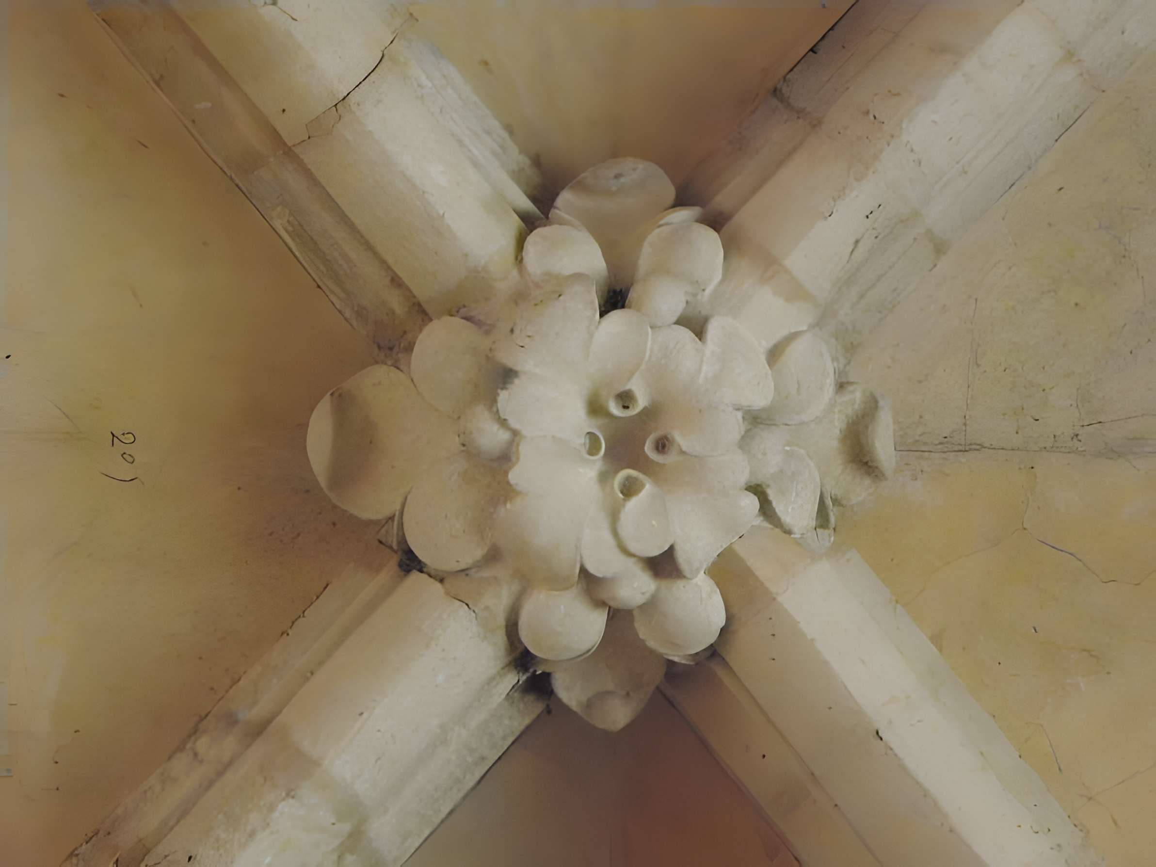 Église Notre-Dame-de-la-Nativité de Villeneuve-le-Comte