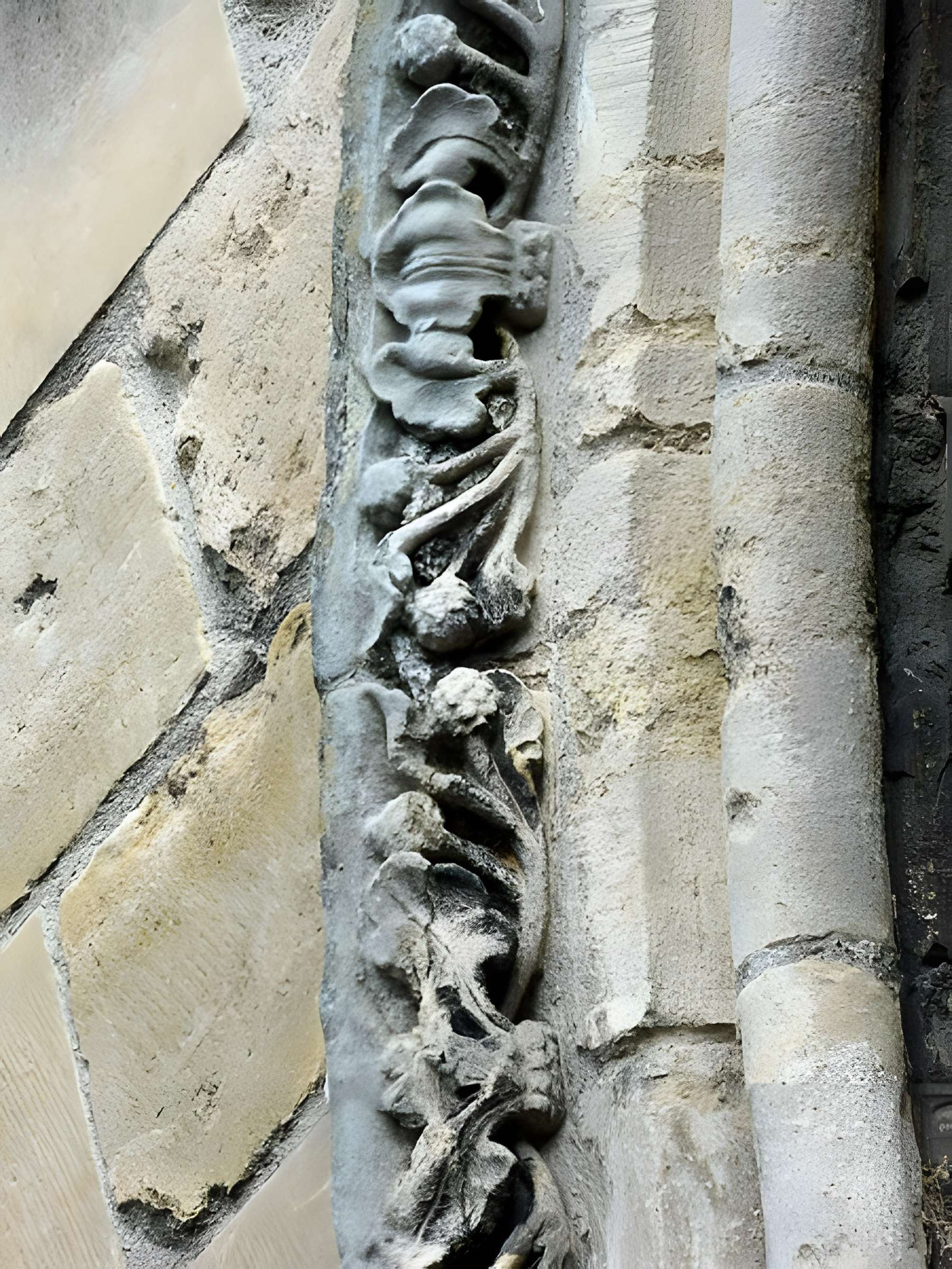 Église Notre-Dame-de-l'Assomption d'Auvers-sur-Oise