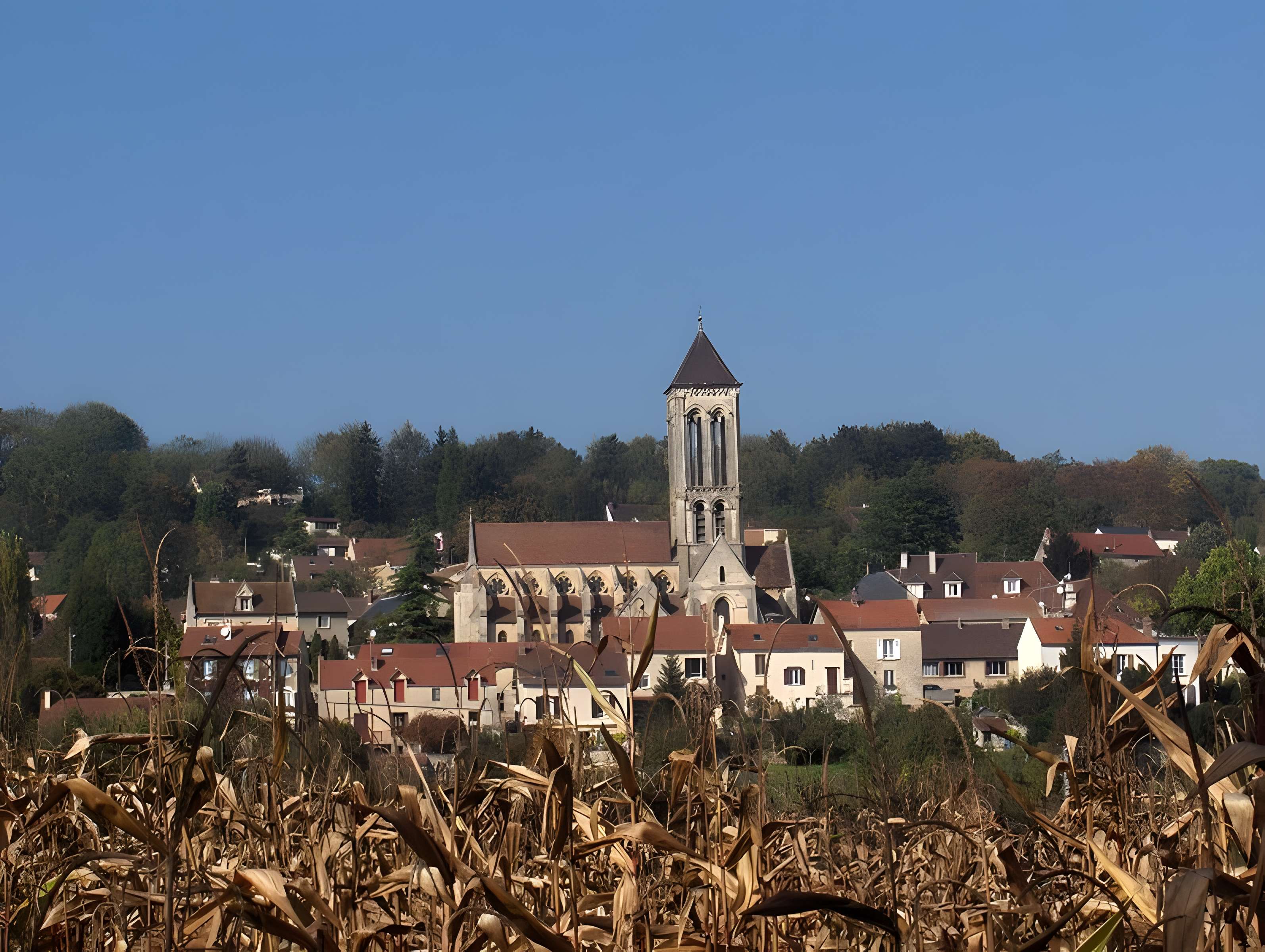 Église Notre-Dame-de-l'Assomption de Champagne-sur-Oise 