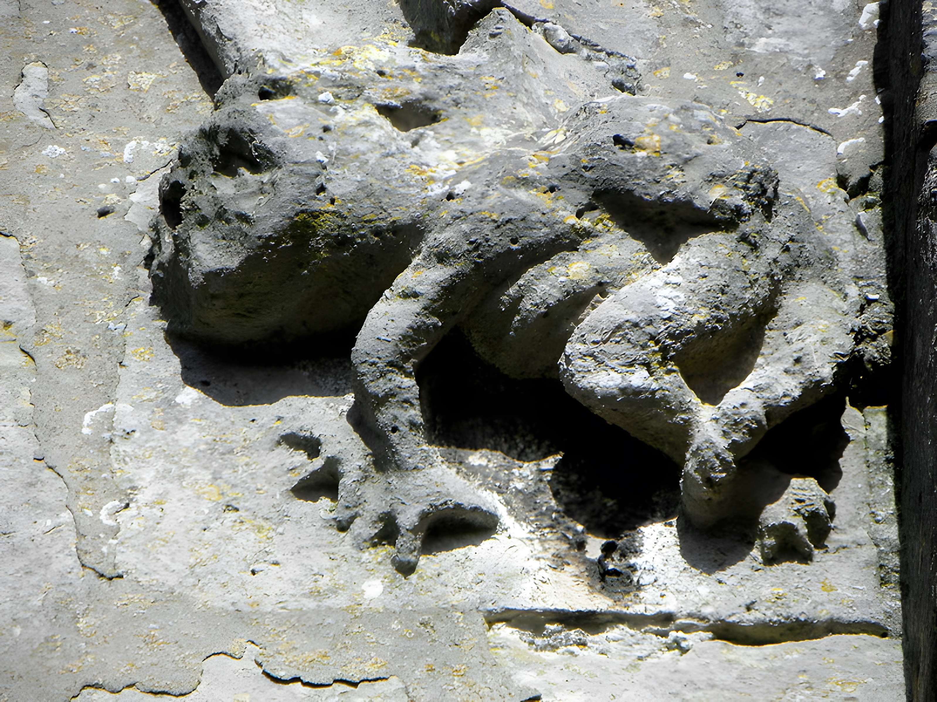 Église Notre-Dame-de-l'Assomption de May-en-Multien