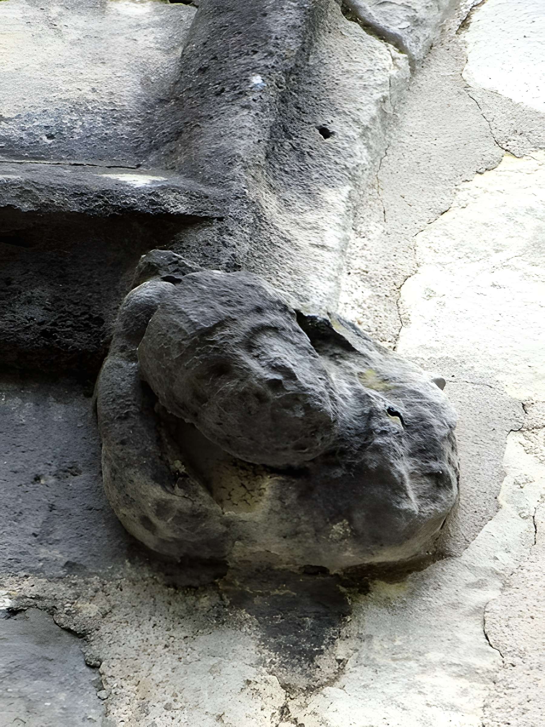 Église Notre-Dame-de-l'Assomption de Verrières-le-Buisson