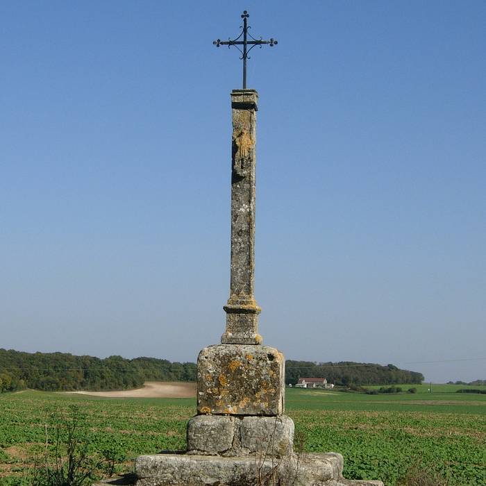 Photo de Église Notre-Dame-de-lAssomption dEsmans