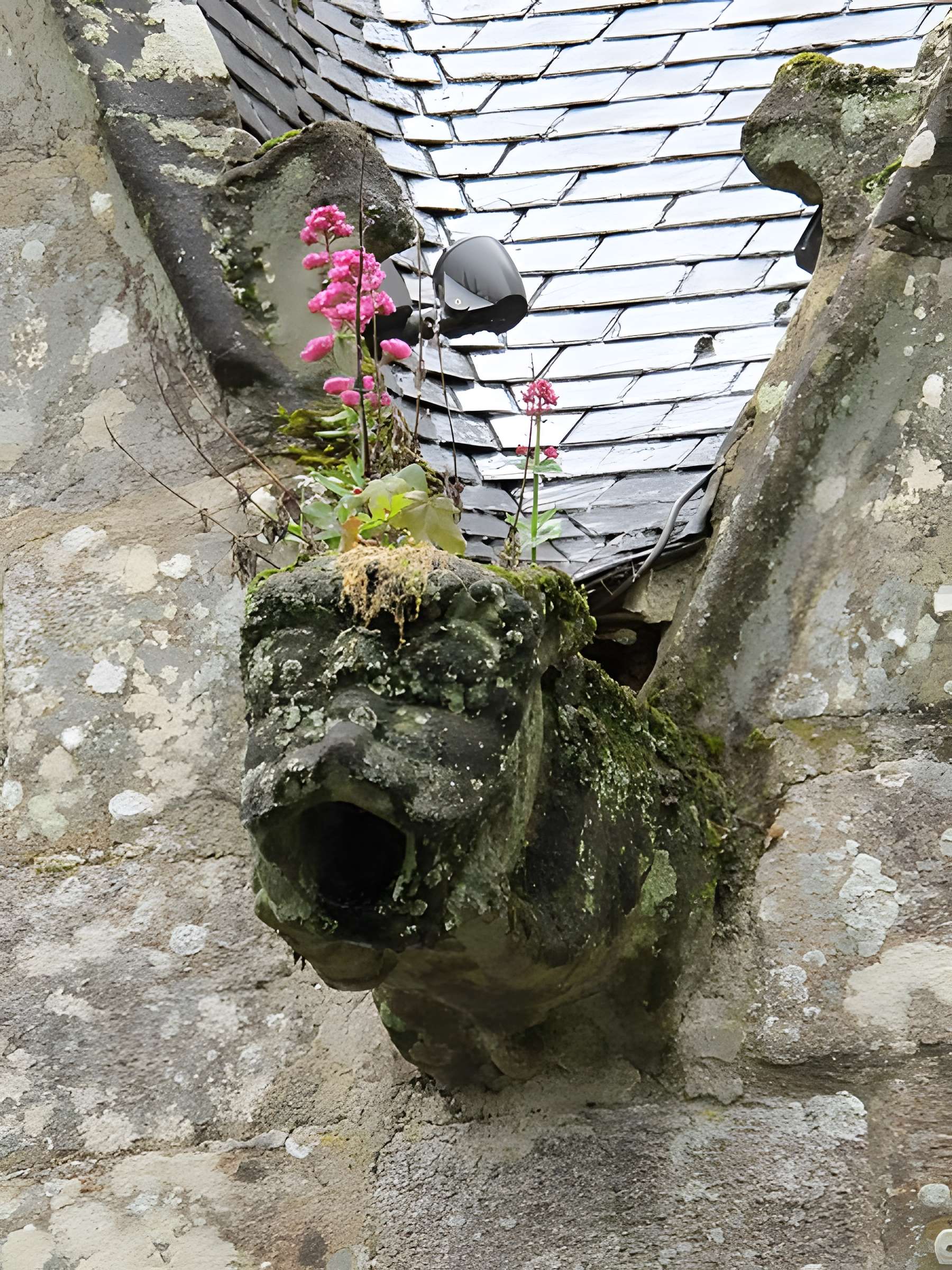 Église Notre-Dame-de-la-Tronchaye de Rochefort-en-Terre