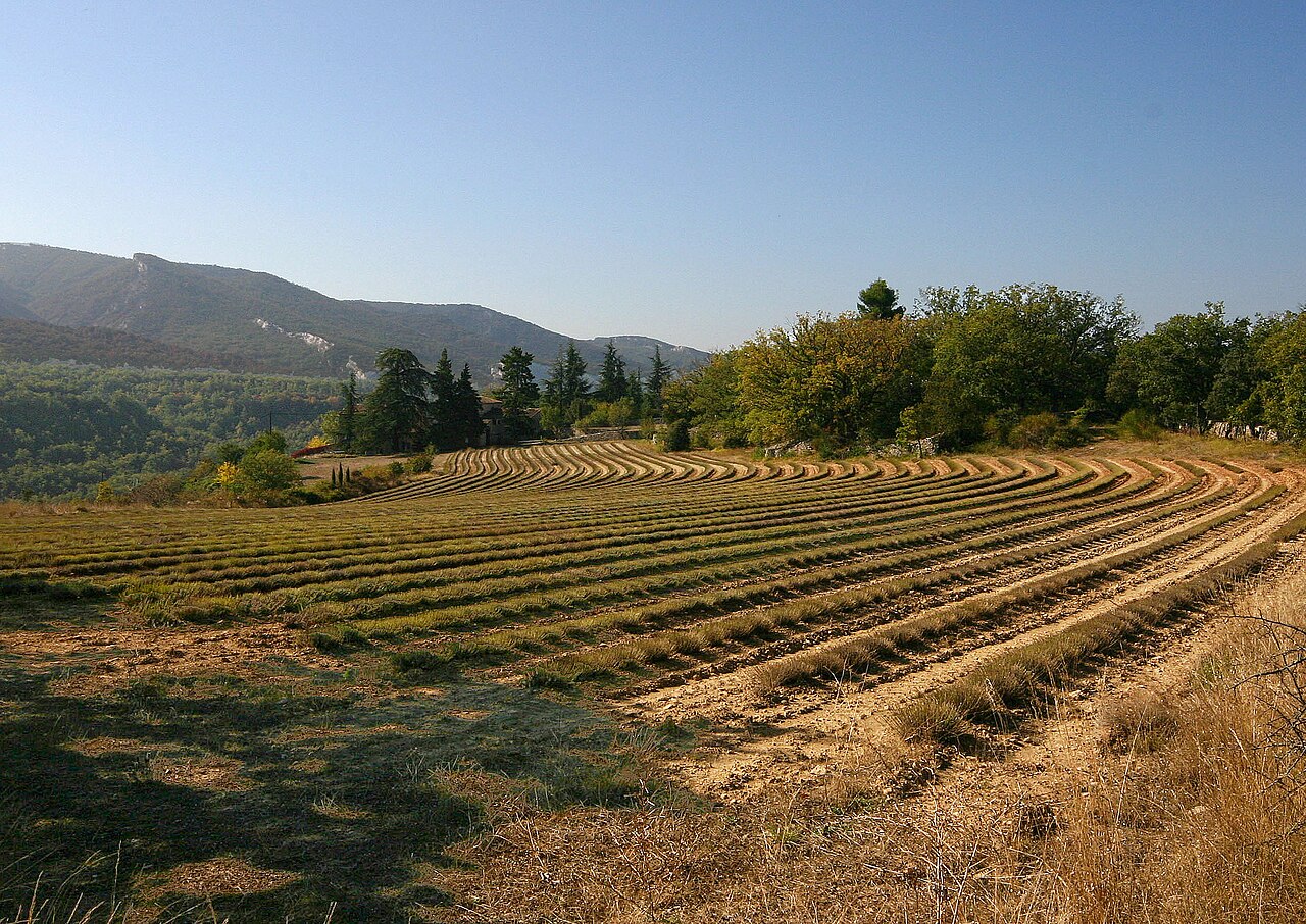 Église Notre-Dame-de-Pitié de Saignon