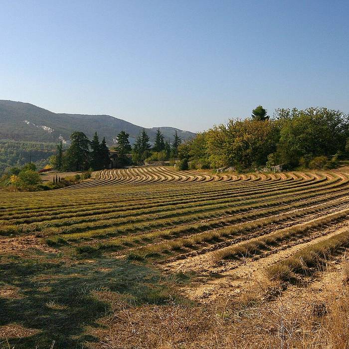 Photo de Église Notre-Dame-de-Pitié de Saignon
