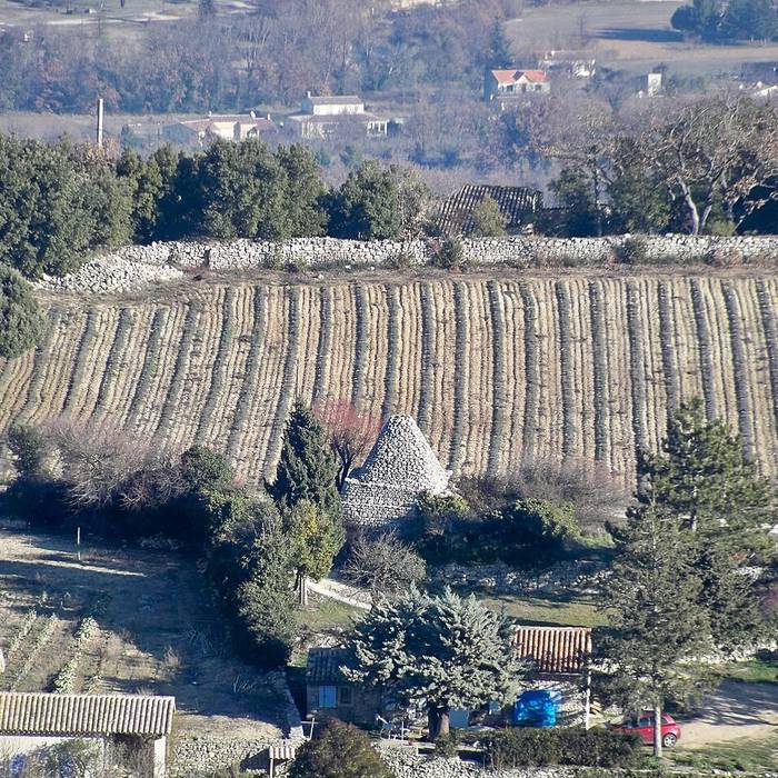 Photo de Église Notre-Dame-de-Pitié de Saignon