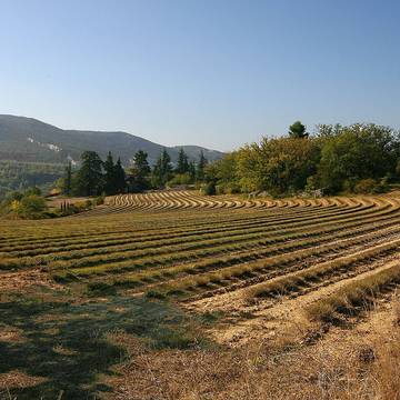 Église Notre-Dame-de-Pitié de Saignon