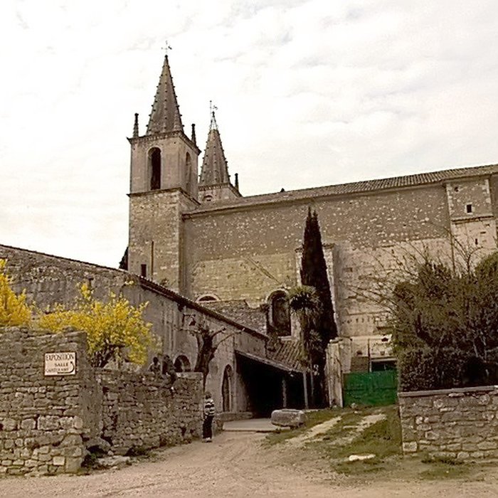 Photo de Église Notre-Dame-et-Saint-Michel de Goudargues